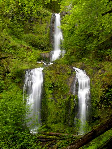 Stafford Falls, If you travel along Chinook Creek you will …